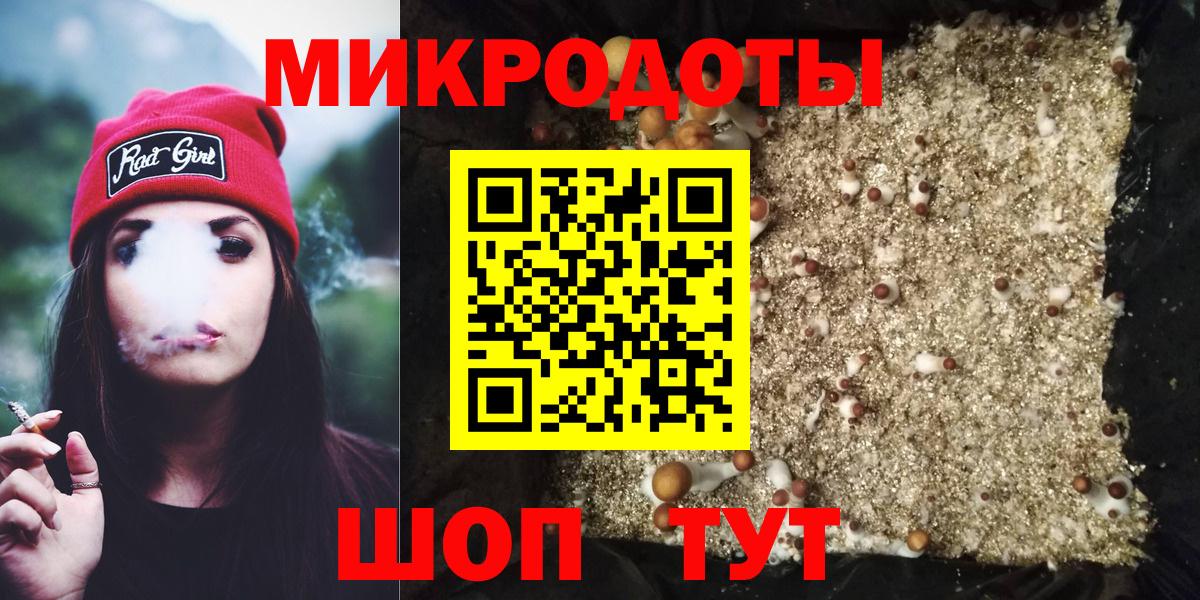 Галлюциногенные грибы Psilocybine cubensis Котлас