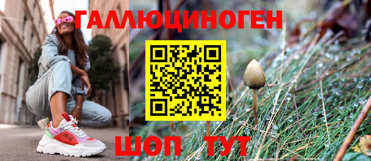 Псилоцибиновые грибы прущие грибы  Галлюциногенные грибы Magic Shrooms  Вход с VPN  Котлас 